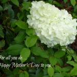 Happy Mother's Day Happy Mother's Day