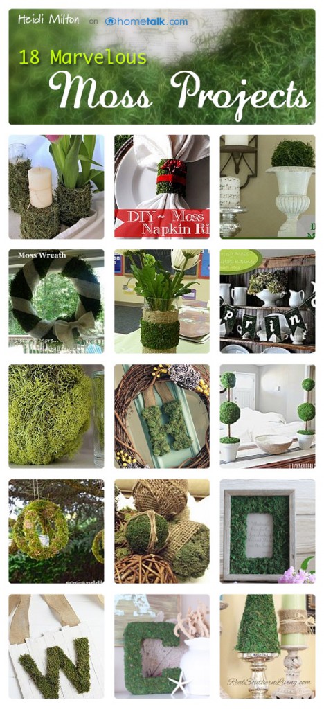 Hometalk Moss DIY projects