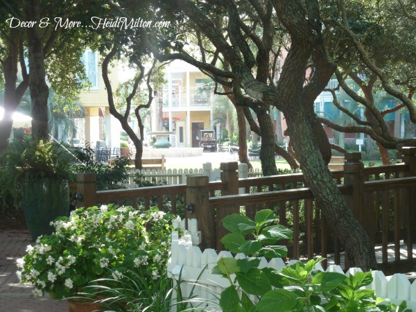 Carilion Beach foliage