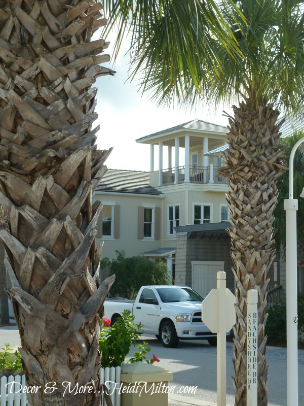 Carilion Beach palms